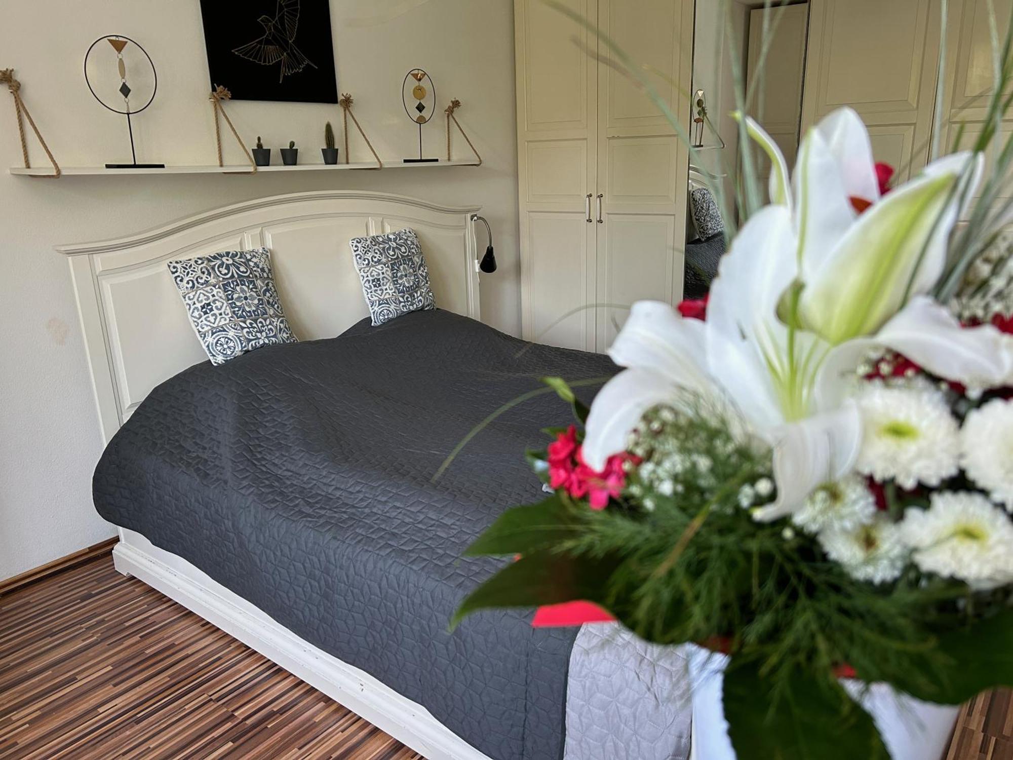 Milet Style And Spacy 2 With Ac In Nivy